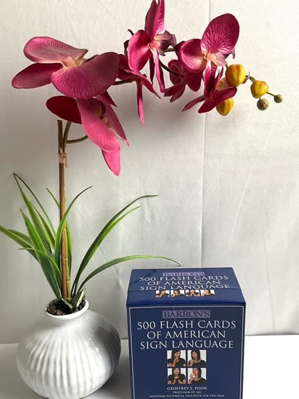 BARRON'S AMERICAN SIGN LANGUAGE~500 FLASH CARDS~LIKE NEW!